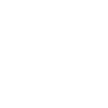 wiseed-footer-logo